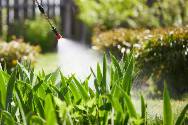 24/7 Emergency Pest Control experts in Gridley, IL