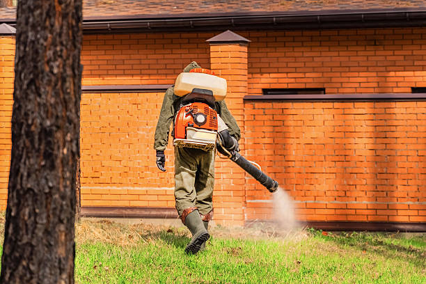 Top rated local Pest Control specialists in Gridley, IL